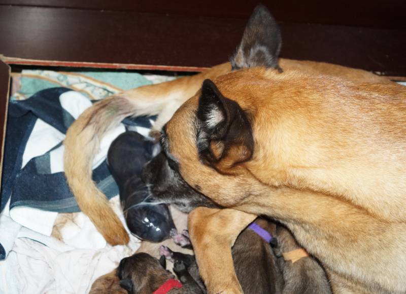 Die Geburt der kleinen F